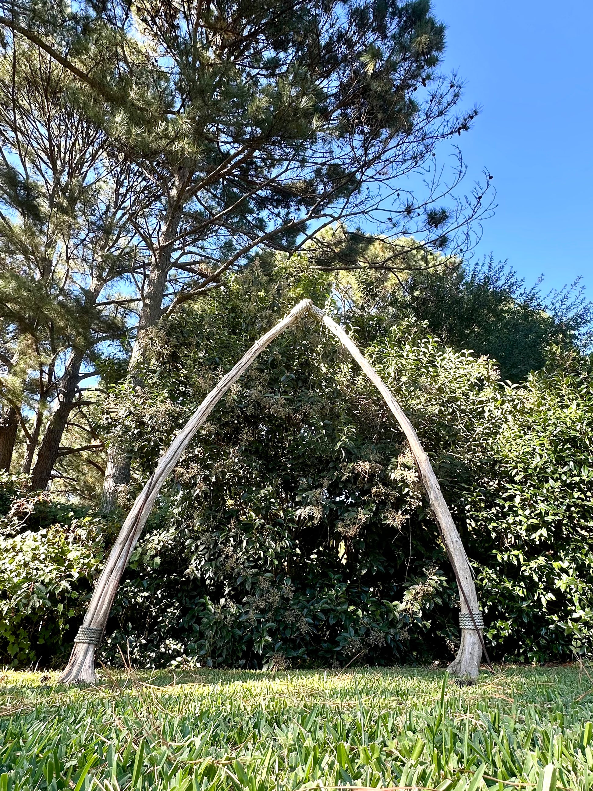 Large arch made of driftwood in a natural setting with trees and grass.