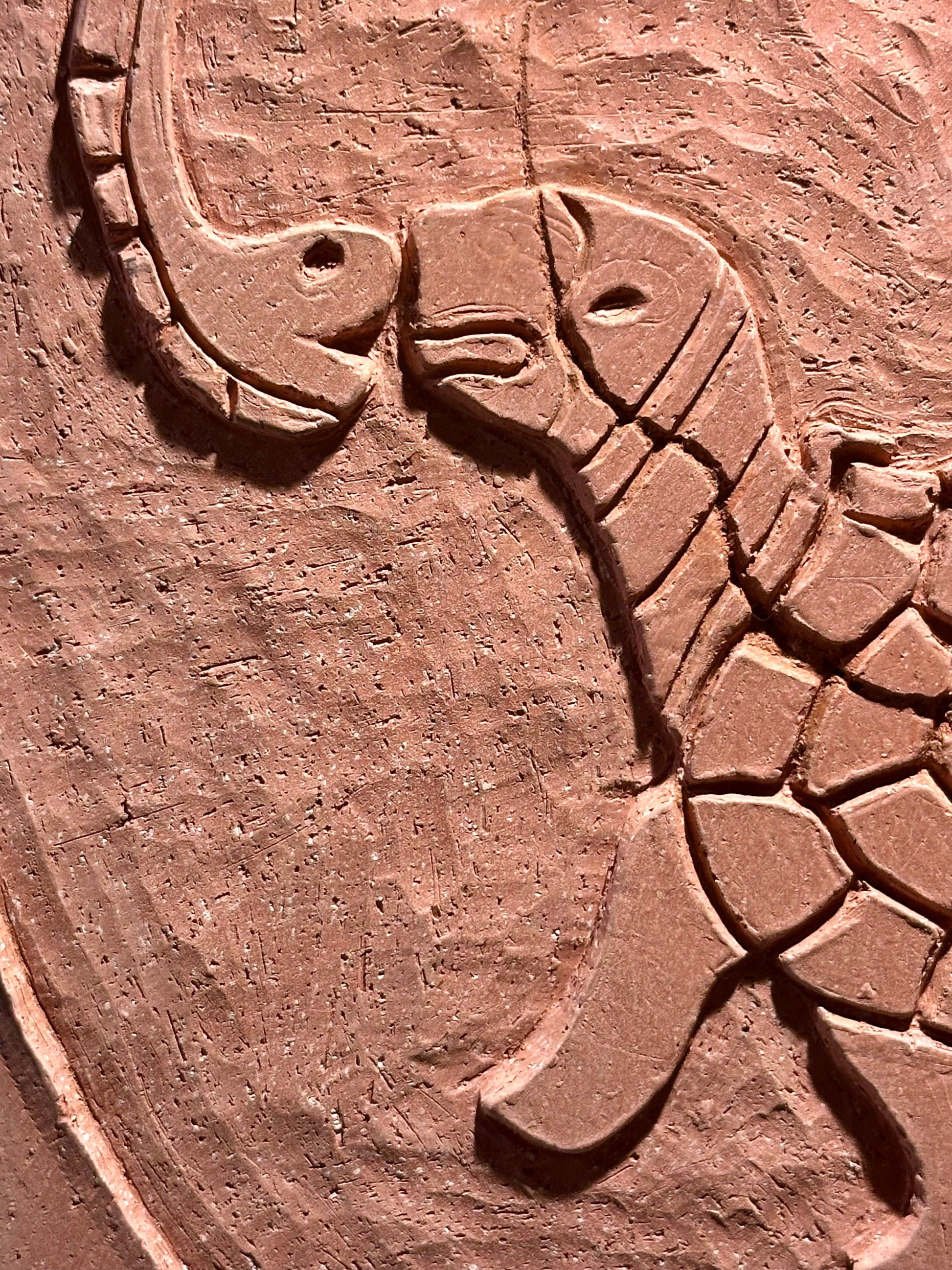 Close up of a carved turtle and snake design on a clay surface
