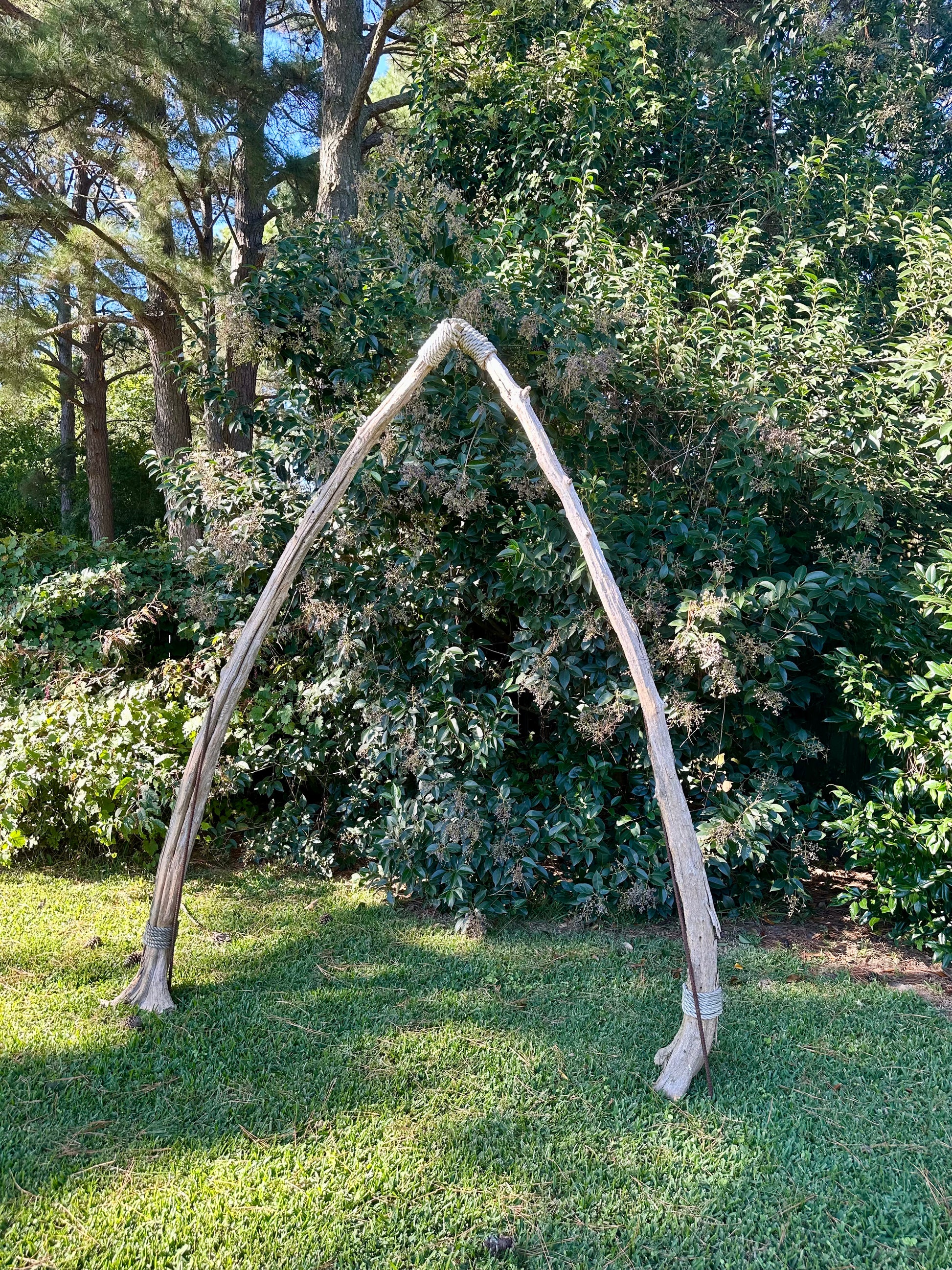 Wooden archway in a natural setting with trees and greenery